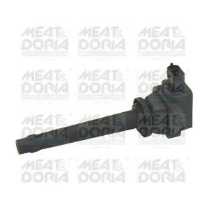 10461 MEAT & DORIA