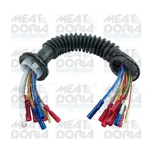 25366 MEAT & DORIA
