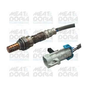 81635 MEAT & DORIA