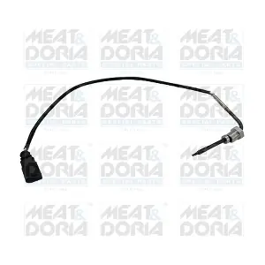 12250E MEAT & DORIA