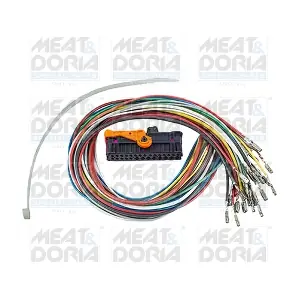 25030 MEAT & DORIA