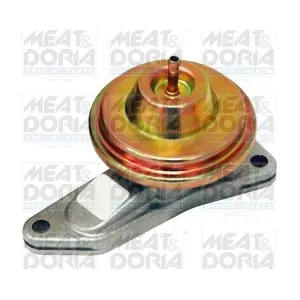 88164 MEAT & DORIA