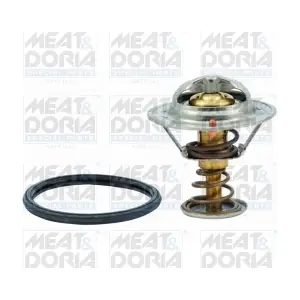 92477 MEAT & DORIA