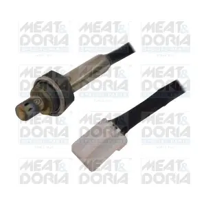 81774 MEAT & DORIA