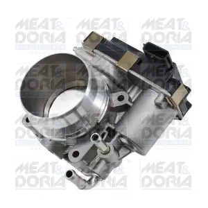 88527 MEAT & DORIA
