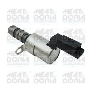 91576 MEAT & DORIA