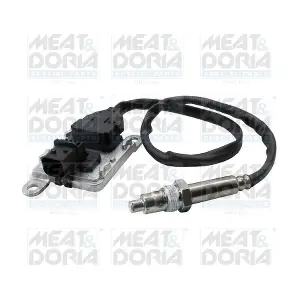 57169 MEAT & DORIA