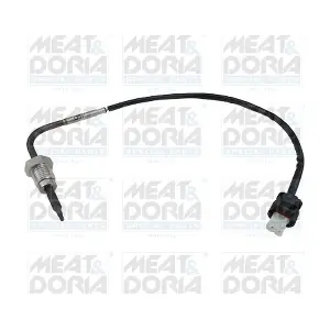 12017E MEAT & DORIA