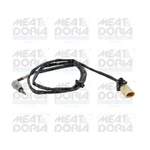 12585 MEAT & DORIA