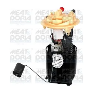 76990 MEAT & DORIA