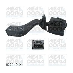 231311 MEAT & DORIA