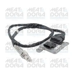 57071 MEAT & DORIA