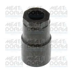98755 MEAT & DORIA
