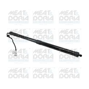 301104 MEAT & DORIA