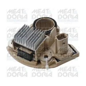 52377 MEAT & DORIA
