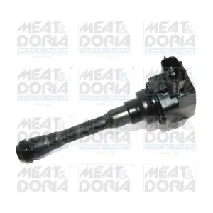 MEAT & DORIA 10717