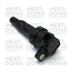 10625 MEAT & DORIA