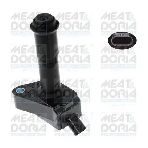 10907 MEAT & DORIA
