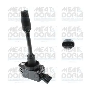 MEAT & DORIA 10903