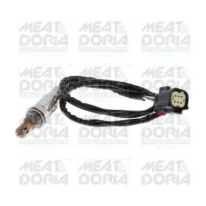 811015 MEAT & DORIA