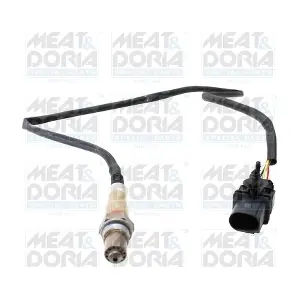 811077 MEAT & DORIA