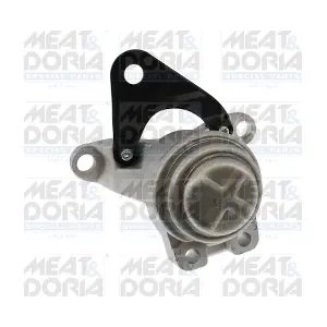 197013 MEAT & DORIA