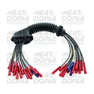 25042 MEAT & DORIA