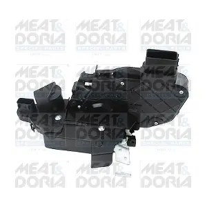 31532 MEAT & DORIA