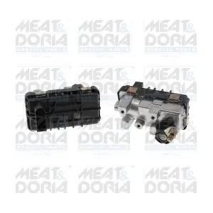 66097 MEAT & DORIA