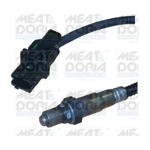 81520 MEAT & DORIA