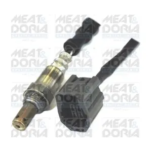81747 MEAT & DORIA