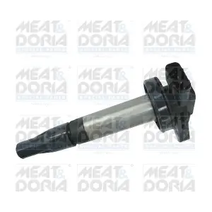 10648 MEAT & DORIA