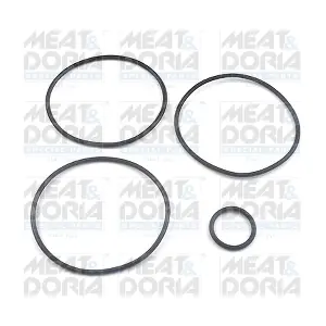 37009 MEAT & DORIA