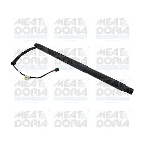 301035 MEAT & DORIA