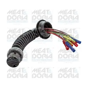 25078 MEAT & DORIA