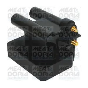 10686 MEAT & DORIA