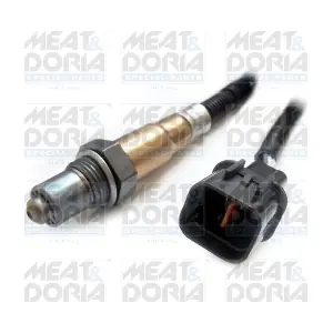 81686 MEAT & DORIA