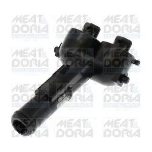 209141 MEAT & DORIA
