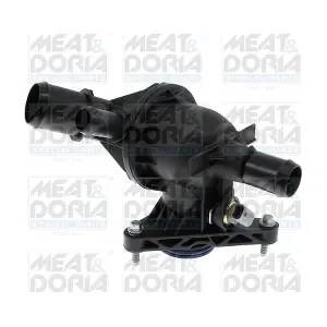 MEAT & DORIA 921011