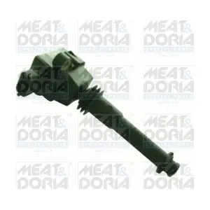 10312 MEAT & DORIA