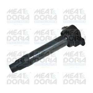 MEAT & DORIA 10729