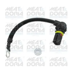 25425 MEAT & DORIA