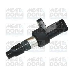 10609 MEAT & DORIA