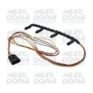 25521 MEAT & DORIA
