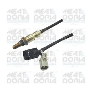 81698 MEAT & DORIA