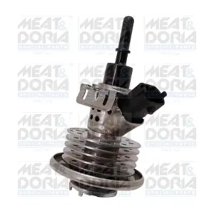 73032 MEAT & DORIA