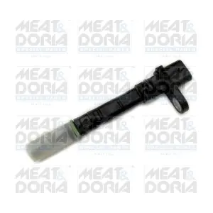 871034 MEAT & DORIA