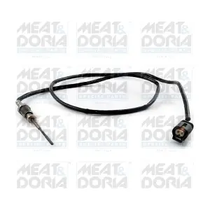 12418 MEAT & DORIA
