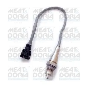 MEAT & DORIA 81934