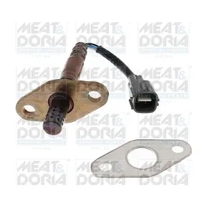 811123 MEAT & DORIA